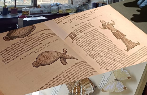 3rd RICH Academy and Visit to Royal Belgian Institute of Natural Sciences  – Brussels, March 2023